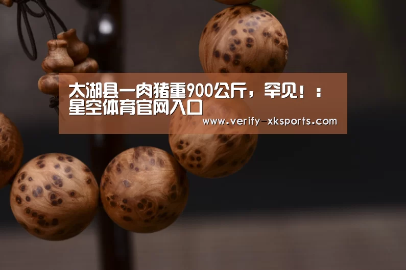 太湖县一肉猪重900公斤,罕见!:星空体育官网入口(图1) 星空体育中国