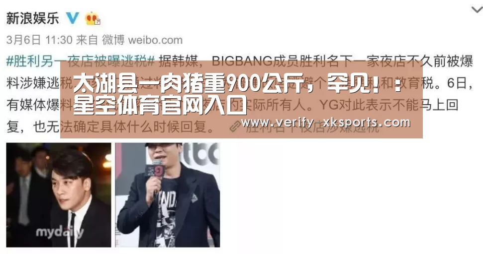 太湖县一肉猪重900公斤,罕见!:星空体育官网入口(图3) 星空体育中国