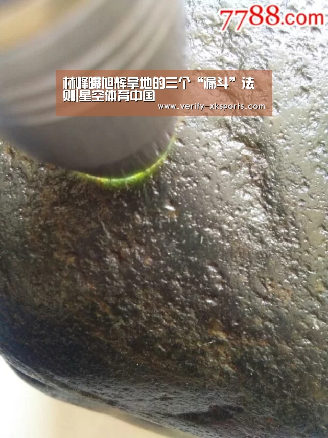 林峰曝旭辉拿地的三个“漏斗”法则|星空体育中国(图1) 星空体育