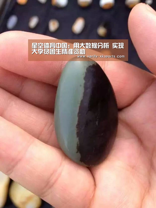 星空体育中国:用大数据分析 实现大学贫困生精准资助(图1) 星空体育官网入口