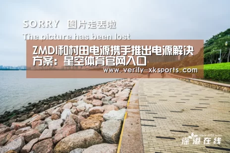 ZMDI和村田电源携手推出电源解决方案:星空体育官网入口(图4) 星空体育中国